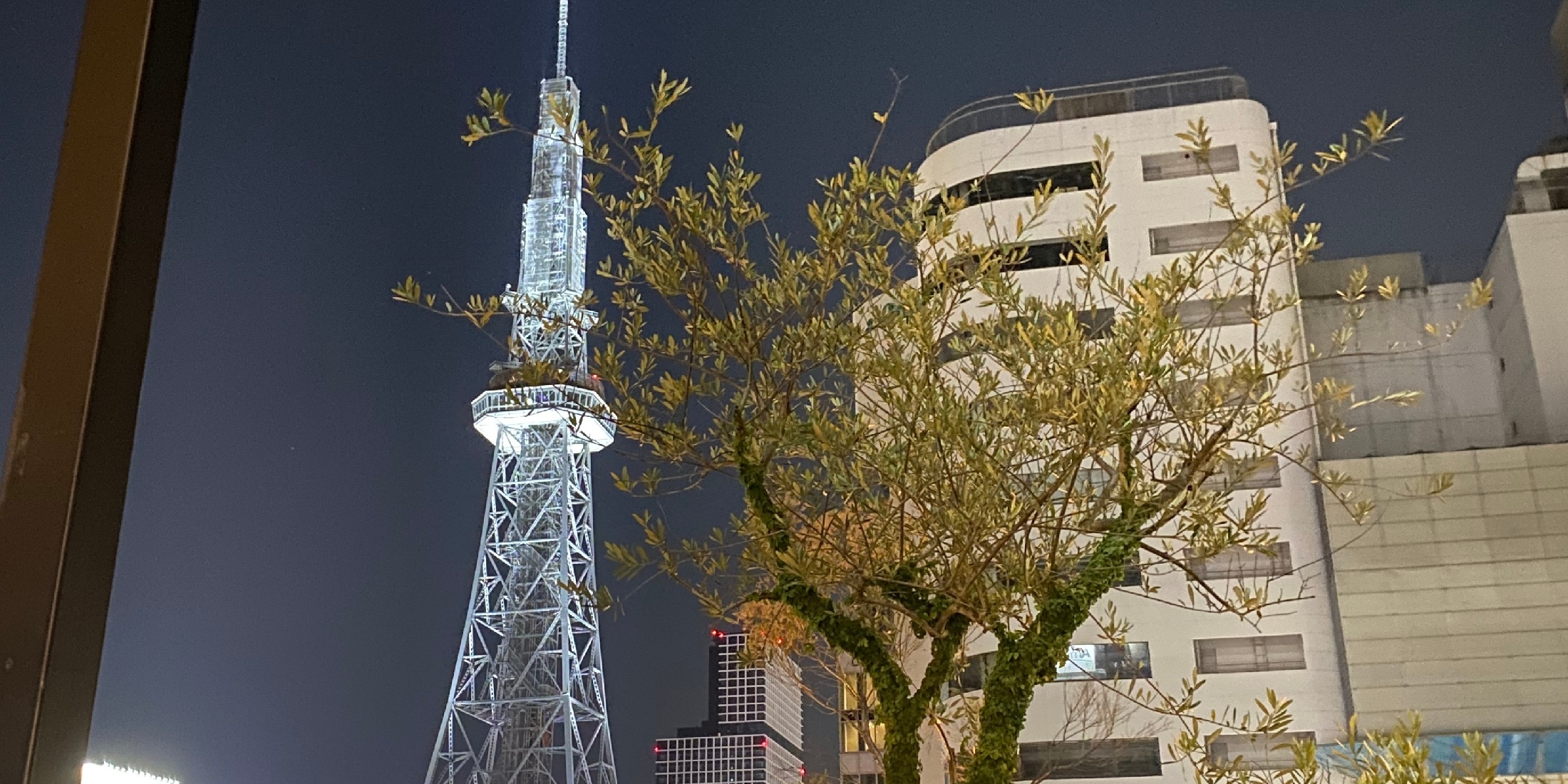 【名古屋】テレビ塔が見えるテラス席が大人気！デートにもぴったりな「ダリグアダルーペ」