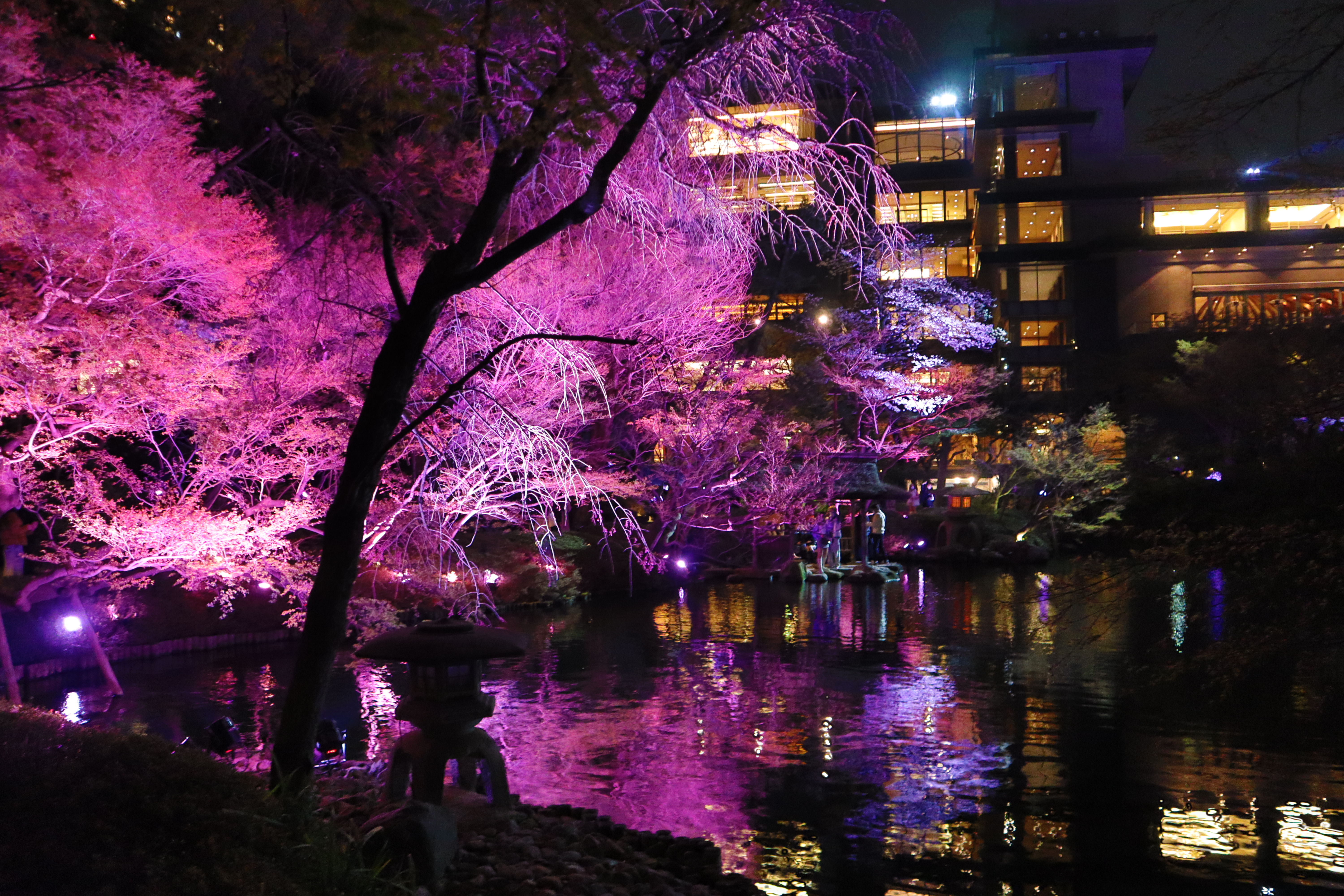 【お花見シーズン】オススメの桜スポットをの画像_1