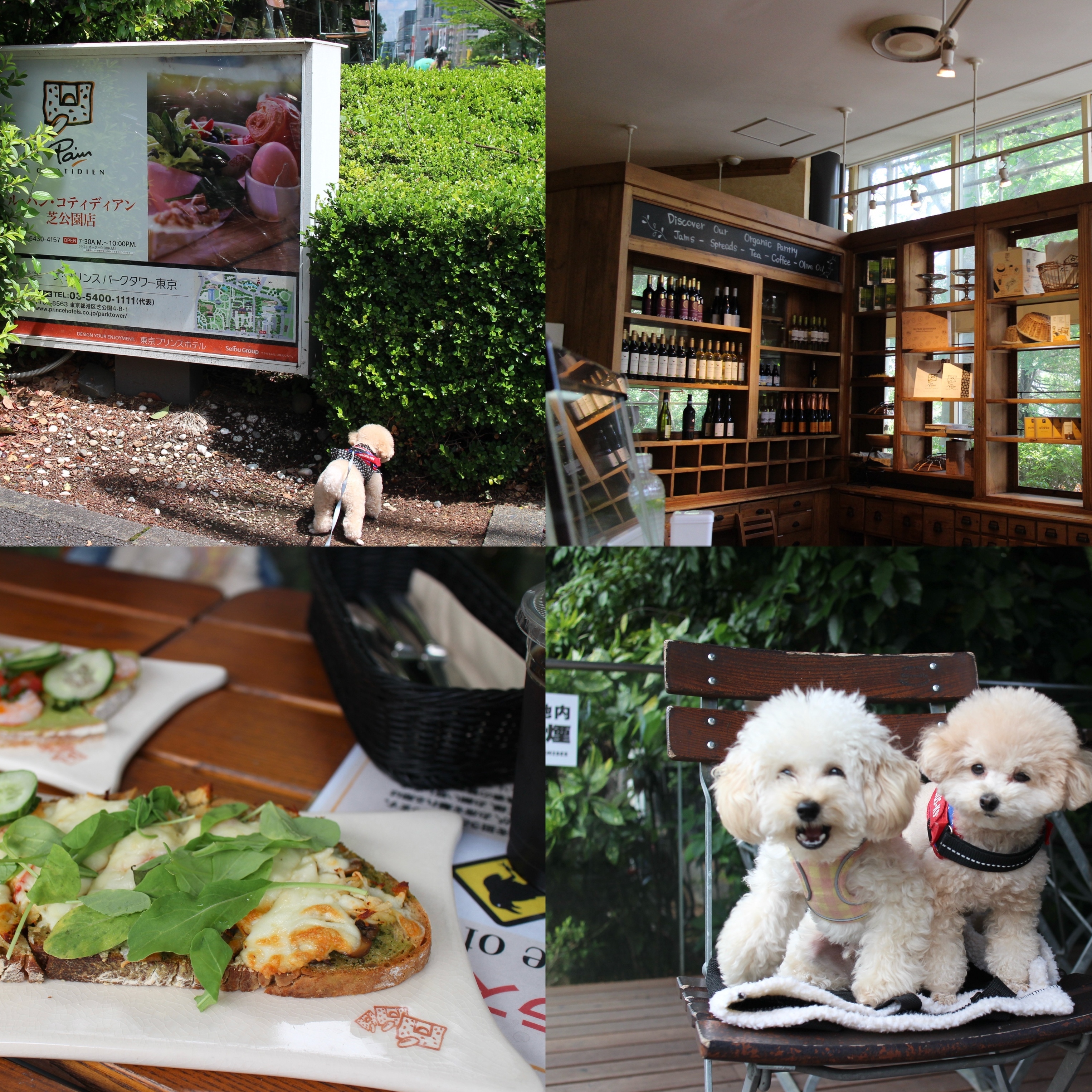 【東京｜芝公園】テラス犬OK｜ル・パン・コティディアン芝公園店 