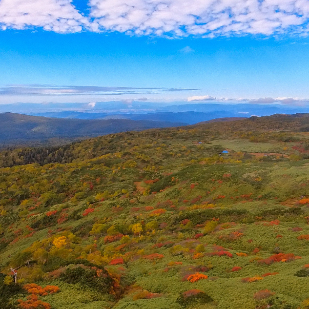 【北海道・旭岳】日本最速の紅葉が楽しめる絶景スポット！見どころ＆アクセス情報