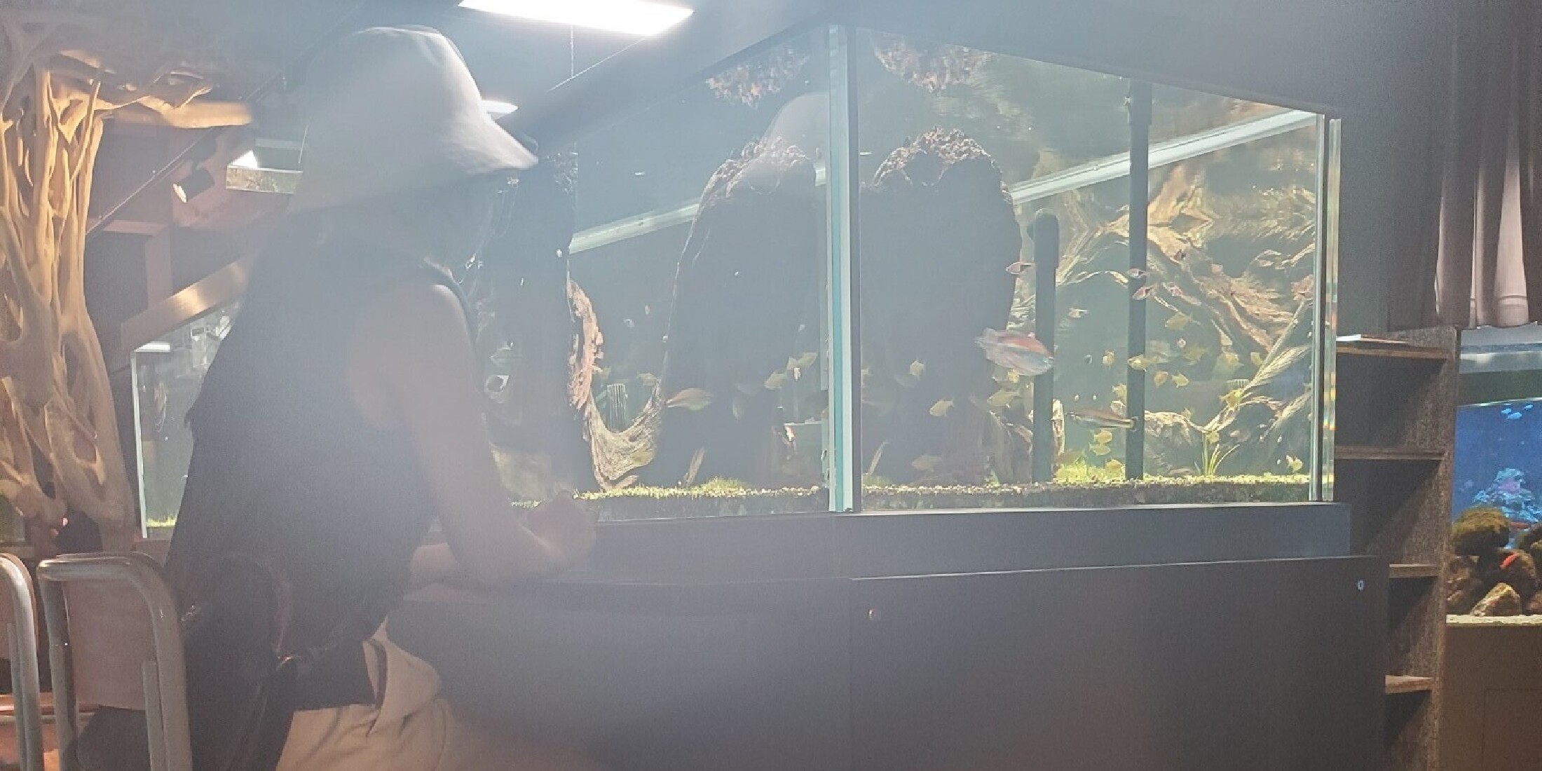 【兵庫・神戸】廃校の学校をリノベーション≪みなとやま水族館≫