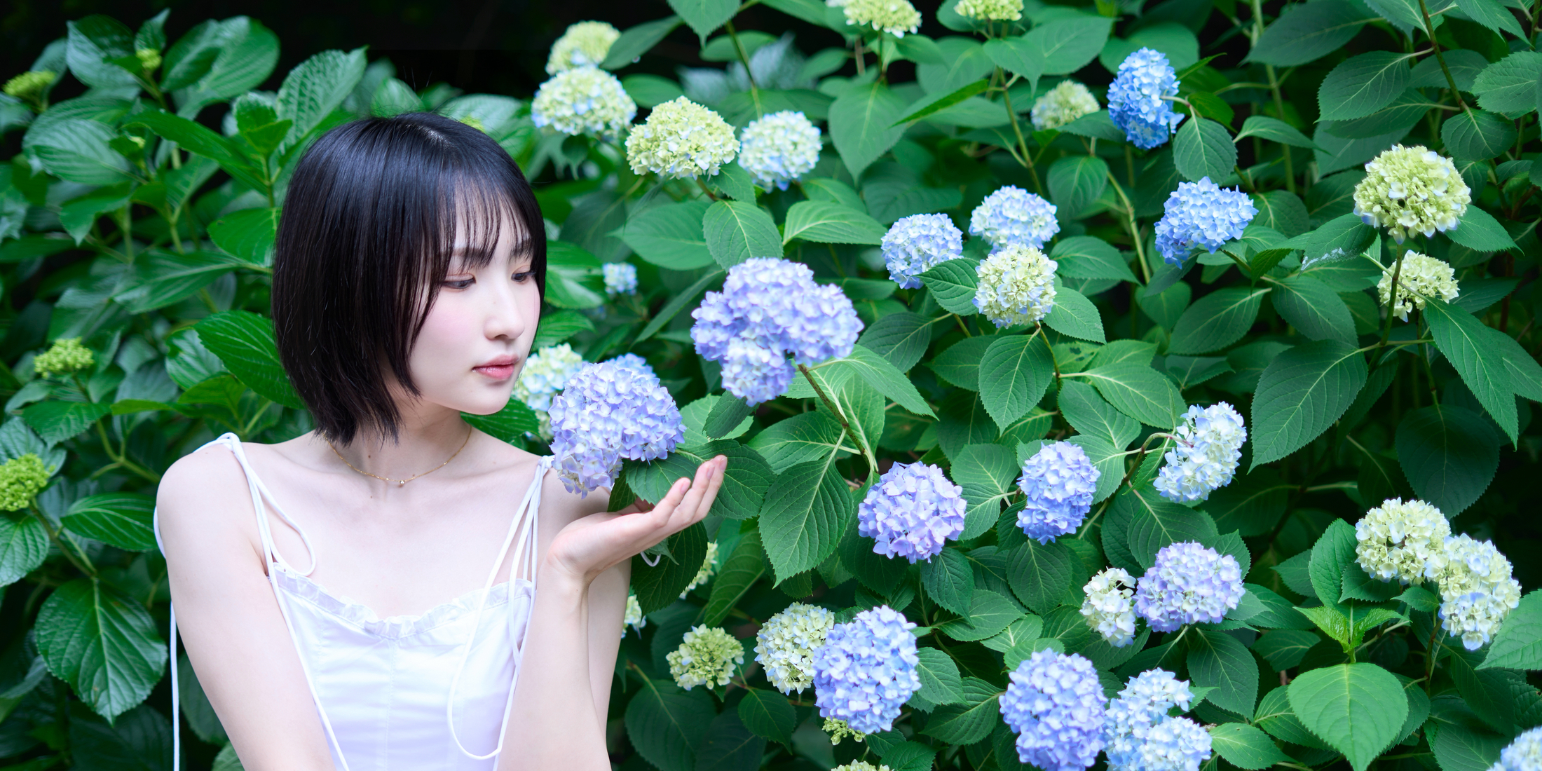 【あじさいスポット】綺麗なあじさいが見れる入場無料おすすめスポット紹介！