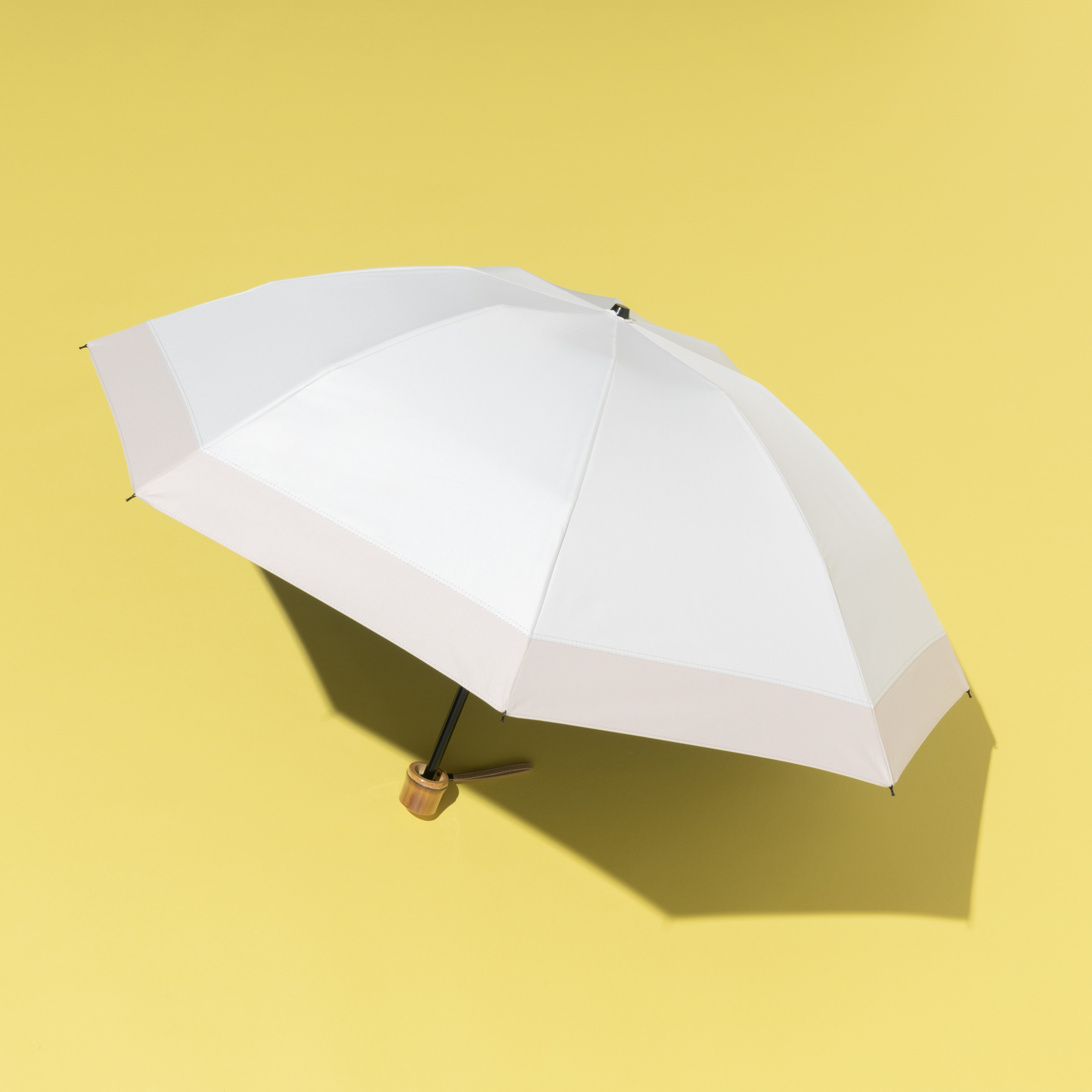 芦屋ロサブランの日傘の撮りおろし画像