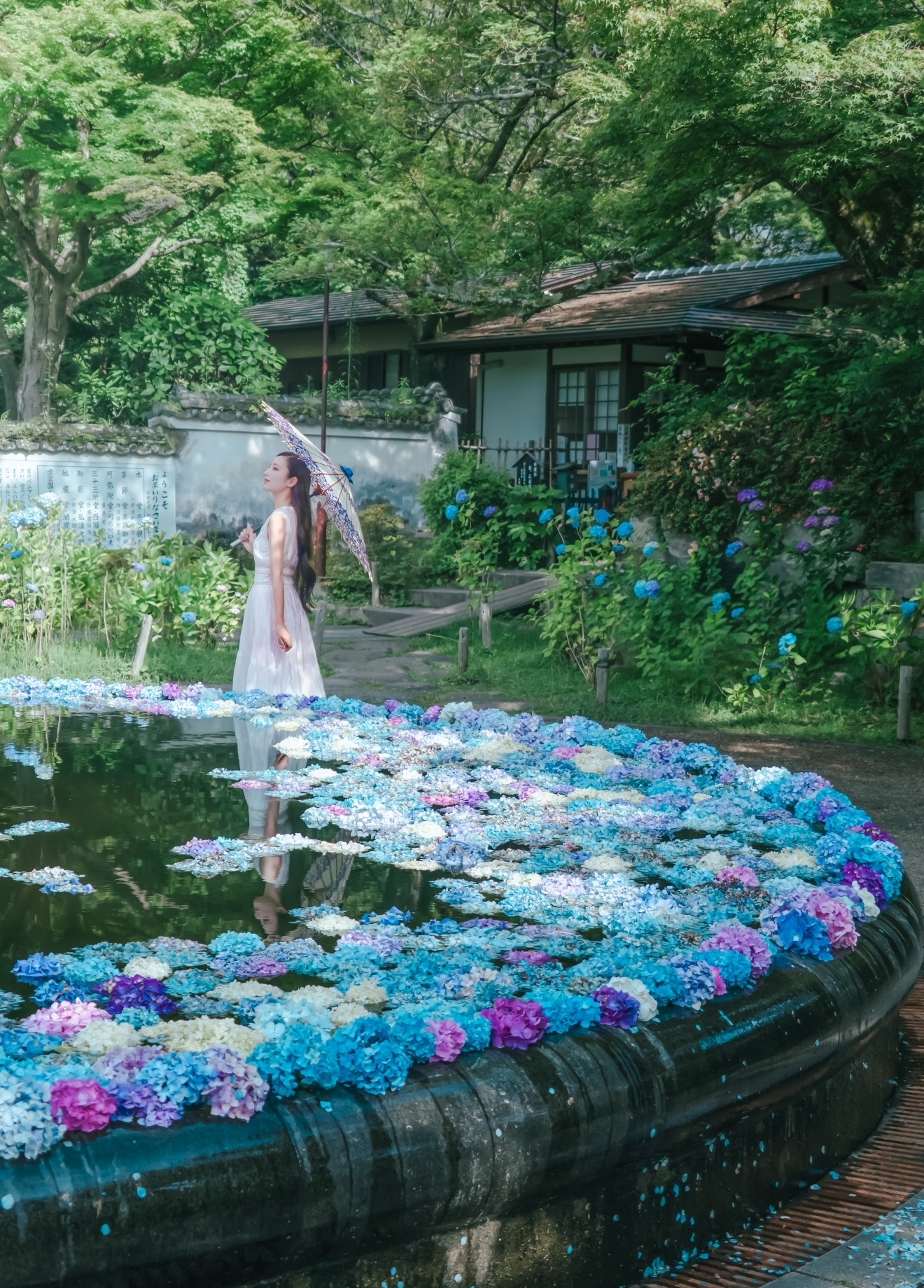 【MORE JAPAN】「#今が見頃！紫陽花スポット」まとめ