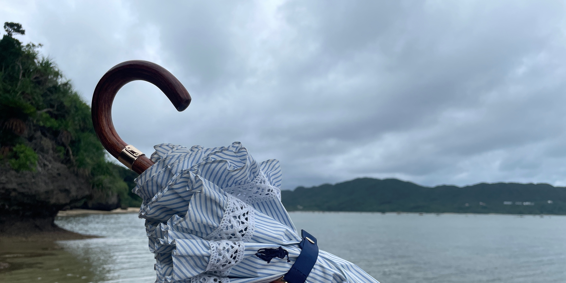 【日焼け対策！】晴雨兼用！お気に入り日傘☂️