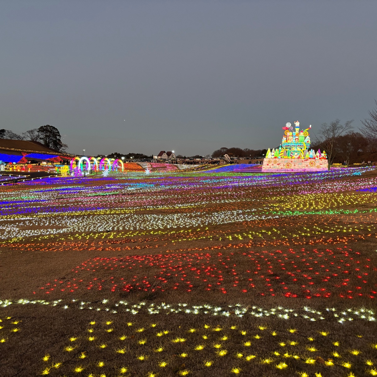 念願の…東京ドイツ村イルミネーションレポ！