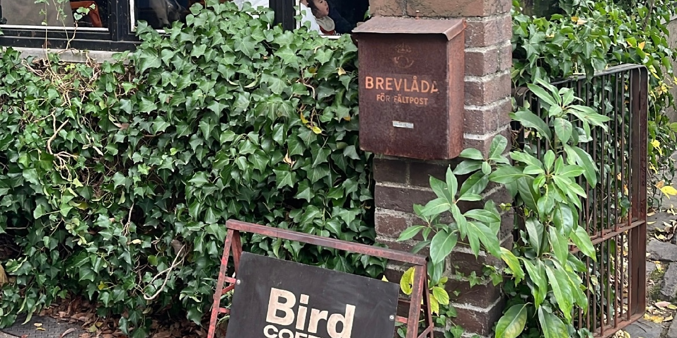 【大阪】Bird Coffeeでカスタードのかかったもちもちドーナツを♡