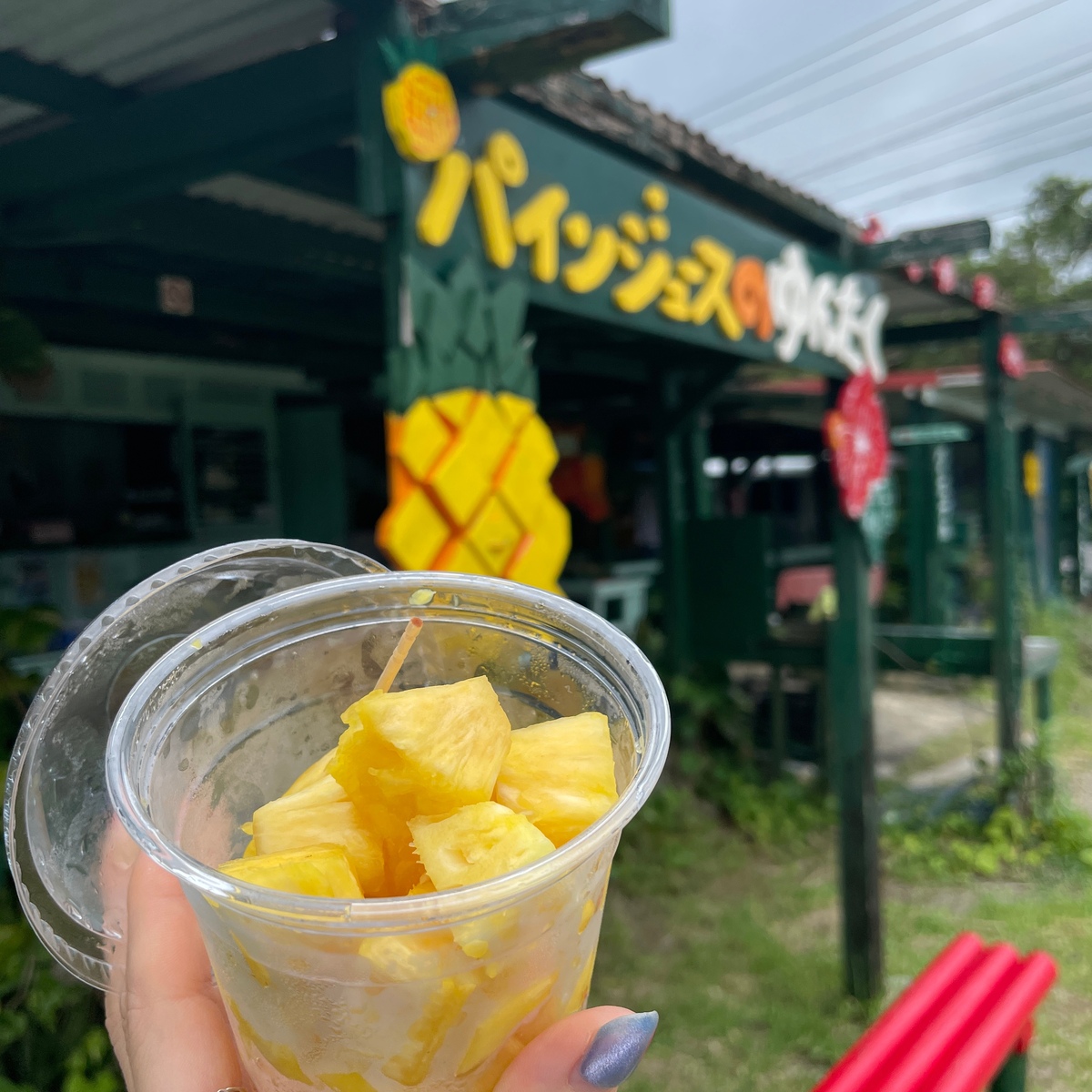【沖縄県・石垣島】パイナップル🍍パインジュースのゆんたく