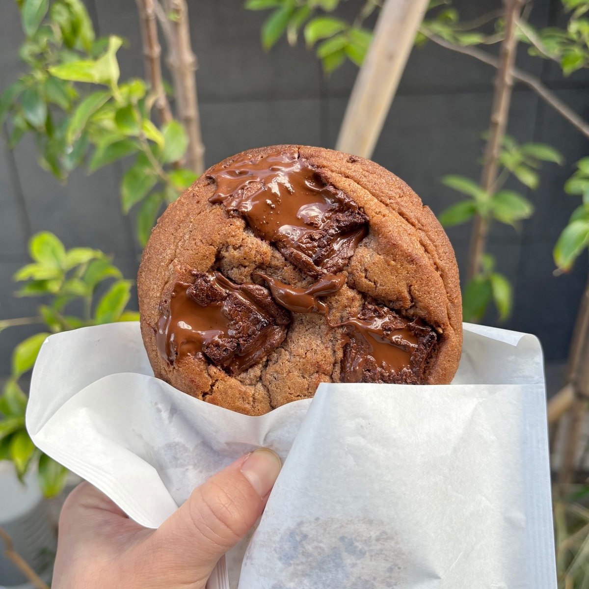 【セブン新作】絶対食べて！見つけたらレア⭐︎お店で焼き上げた「とろけるショコラクッキー」って？