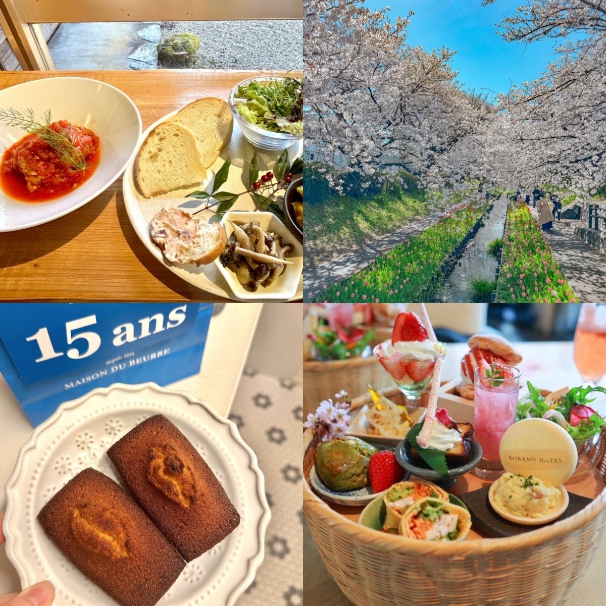 【MORE JAPAN】山の中にあるおしゃれすぎる古民家カフェ、東京・神奈川の保存しておきたい桜スポット！ 人気記事ランキングTOP5