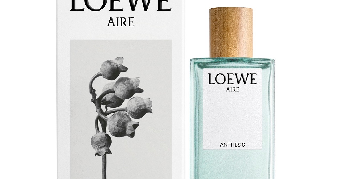LOEWE（ロエベ）』の香水＆キャンドル、20代女子に人気な4選 | MORE