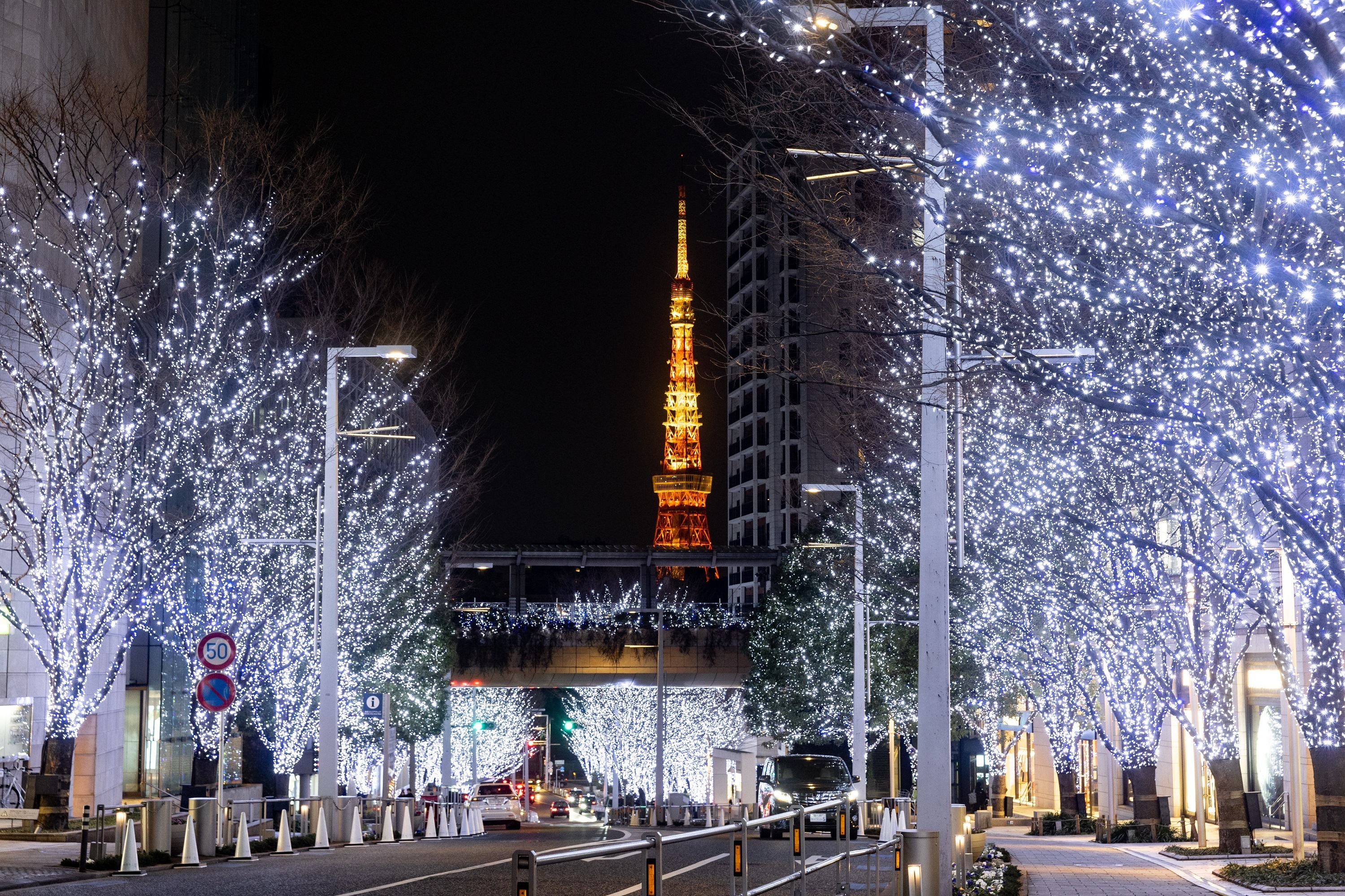 【東京】冬の風物詩・400mに渡り輝くイルミネーションやマーケットも！『Roppongi Hills Christmas 2024』開催