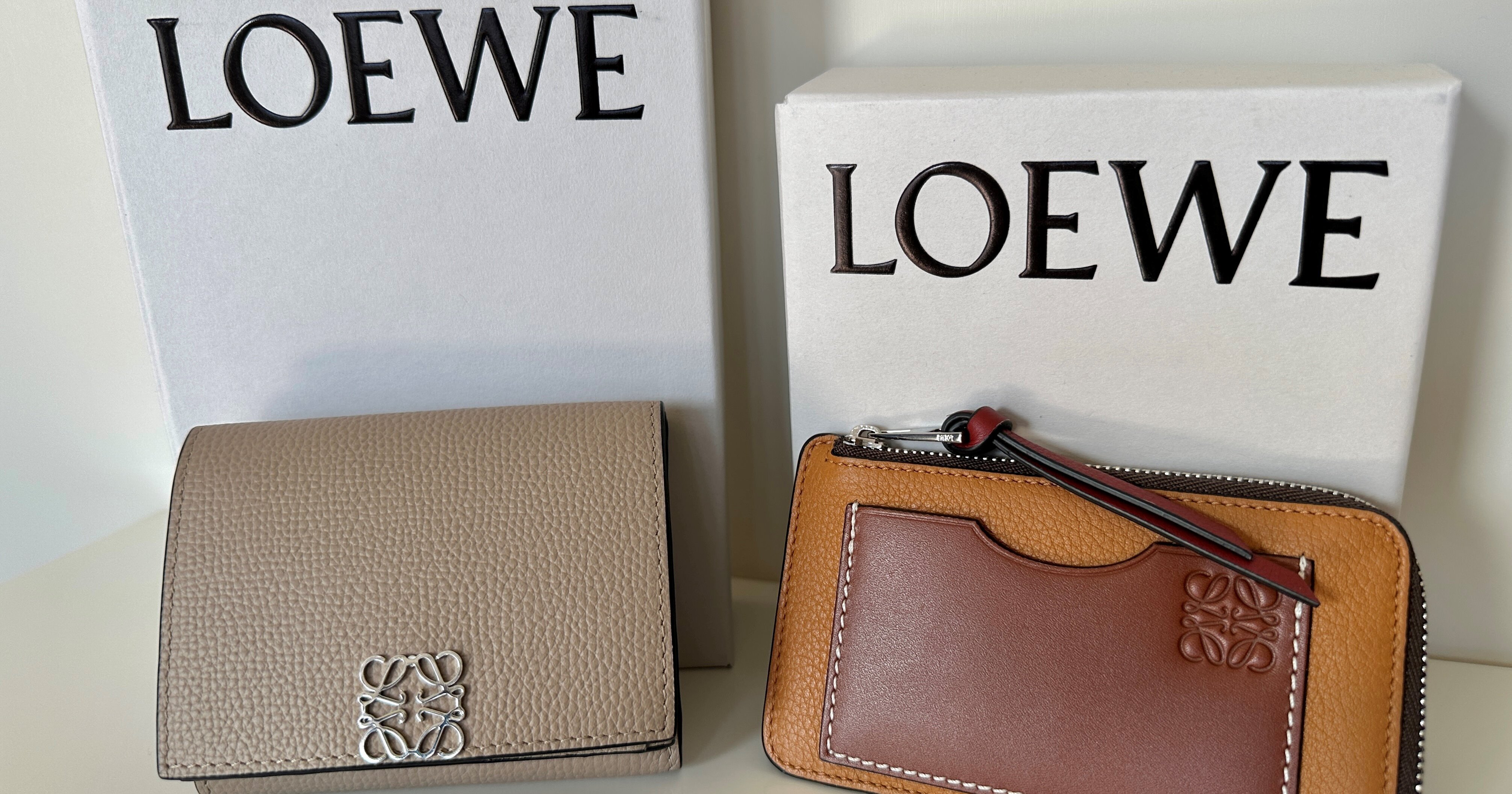 私の愛用財布】自分へのご褒美に！LOEWEのお財布2種を徹底解説 | MORE