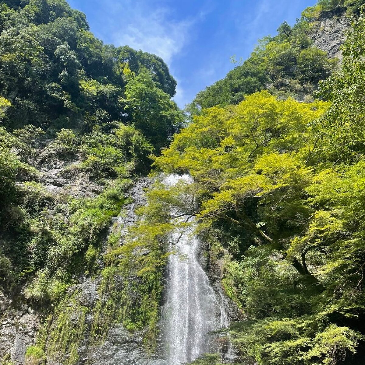 【大阪・箕面】滝だけじゃない箕面満喫プラン