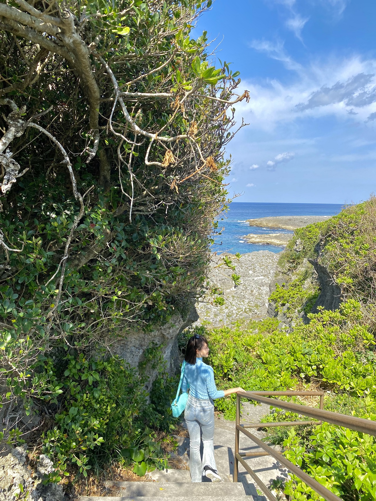 喜界島、荒木中里遊歩道の高台へと続く階段