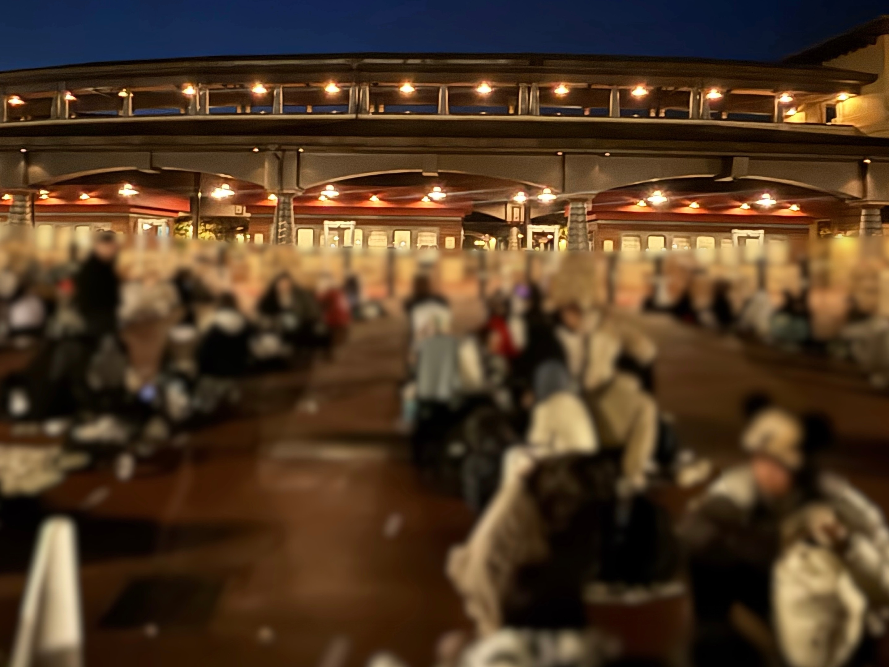 ディズニーシー入園ゲート