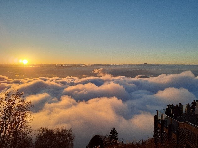 【長野】雲海に出会う「SORA terrace」が、グリーンシーズンの営業を開始！