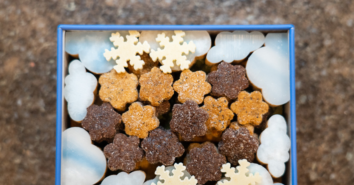 2025年新商品】植物を“育てる”スイーツブランド「Sachi Takagi」の